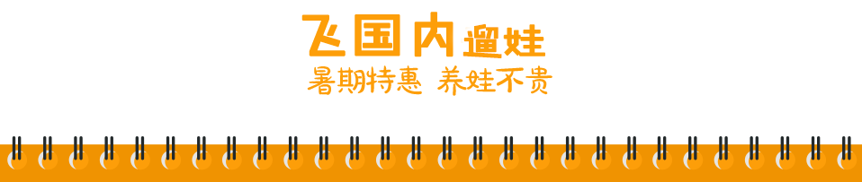 飞国内